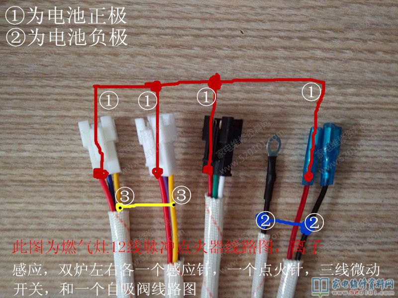 12線雙爐正離子維護(hù)電子點(diǎn)火器