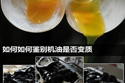 潤滑油