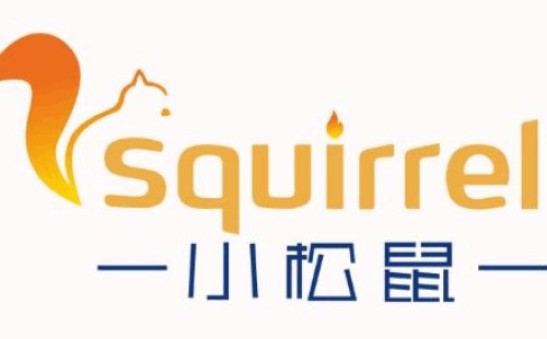 小松鼠壁掛爐出現過熱故障原因-壁掛爐過熱保護維修方法